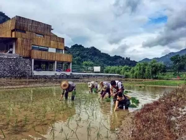 3間開在稻田里的民宿，回歸自然向往田園風(fēng)光