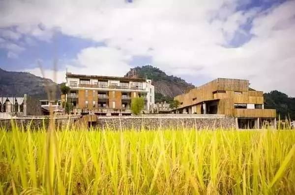 3間開在稻田里的民宿，回歸自然向往田園風(fēng)光