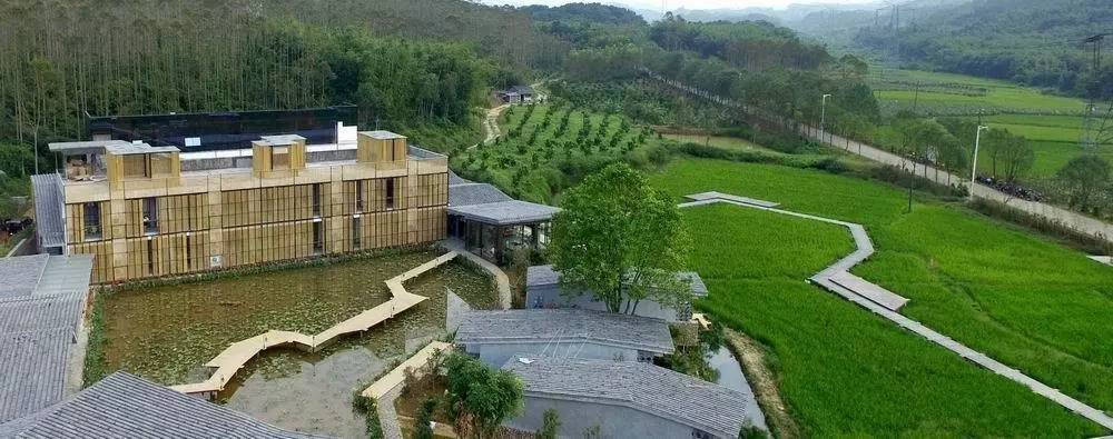 3間開在稻田里的民宿，回歸自然向往田園風(fēng)光