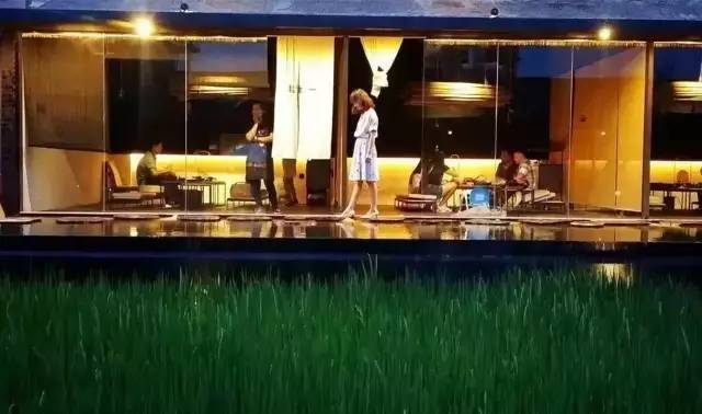 3間開在稻田里的民宿，回歸自然向往田園風(fēng)光