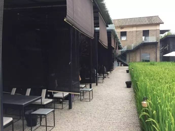 3間開在稻田里的民宿，回歸自然向往田園風(fēng)光