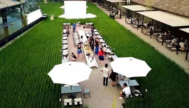 3間開在稻田里的民宿，回歸自然向往田園風(fēng)光