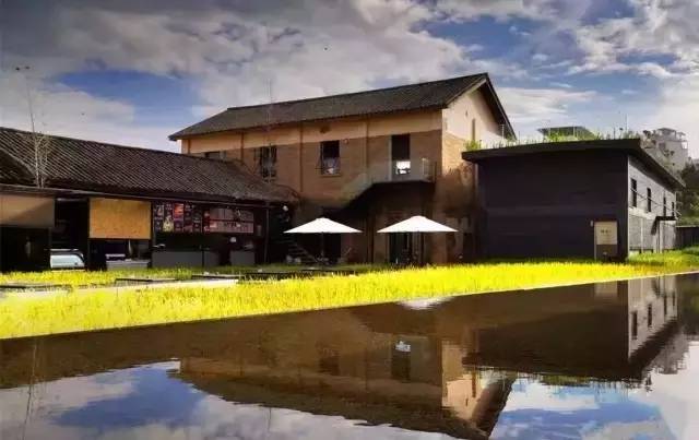 3間開在稻田里的民宿，回歸自然向往田園風(fēng)光