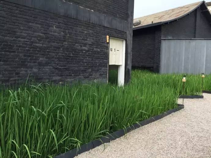 3間開在稻田里的民宿，回歸自然向往田園風(fēng)光