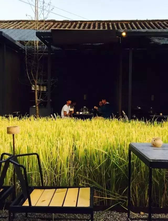 3間開在稻田里的民宿，回歸自然向往田園風(fēng)光