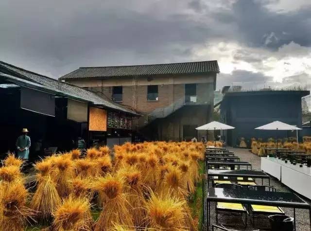 3間開在稻田里的民宿，回歸自然向往田園風(fēng)光