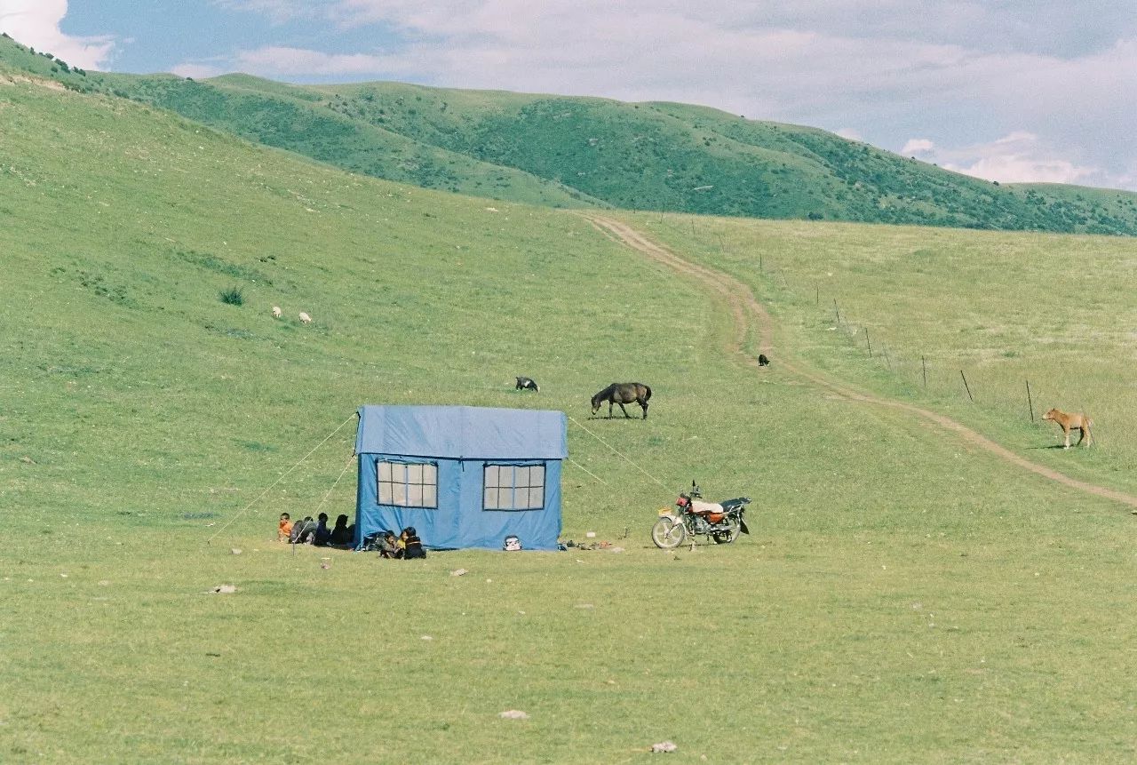大理密嚴，繁花盛放找尋已久的內(nèi)心凈土