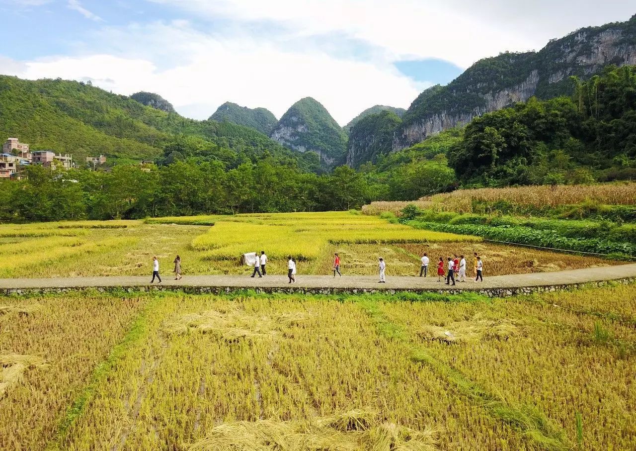 壩美·歸園，隱居聽心歸于自然盡享鄉(xiāng)村野趣