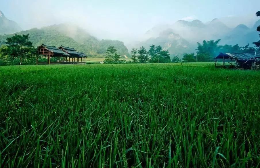 壩美·歸園，隱居聽心歸于自然盡享鄉(xiāng)村野趣