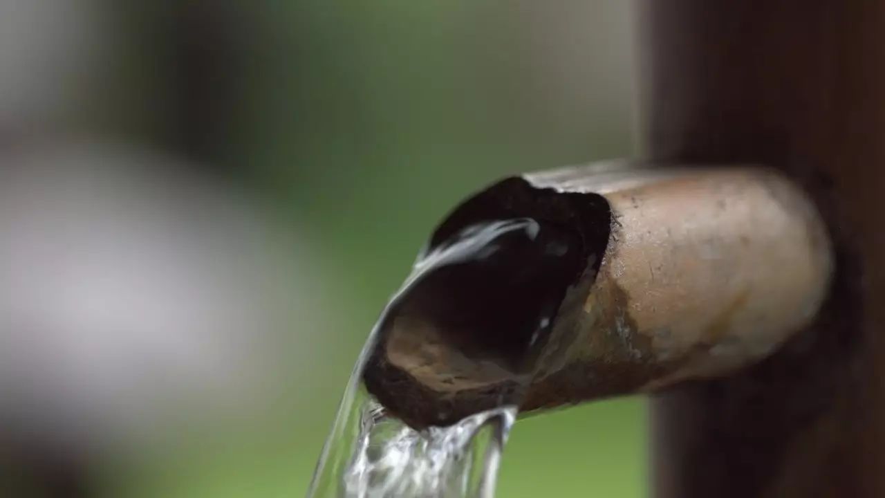 陶舍藝術(shù)酒店，一個(gè)「詩意的世界」