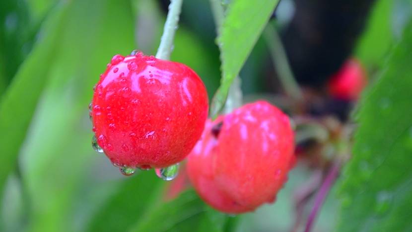 煙臺·極客客棧，歡迎每一顆想要逃離的心
