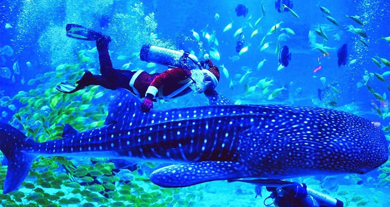 煙臺·極客客棧，歡迎每一顆想要逃離的心