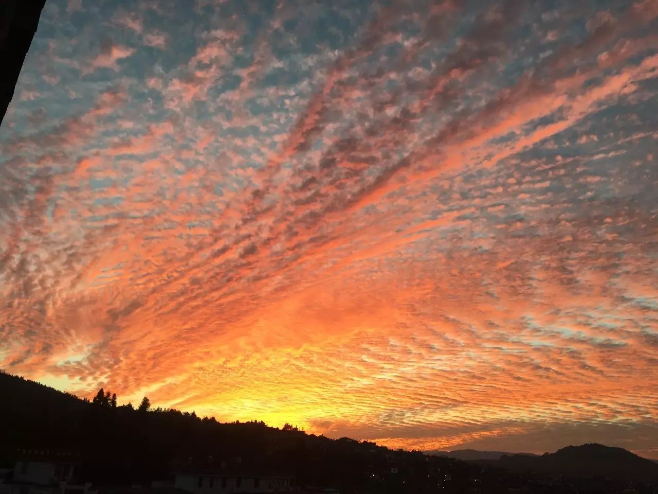 安之若宿，像家一樣既來之則安之