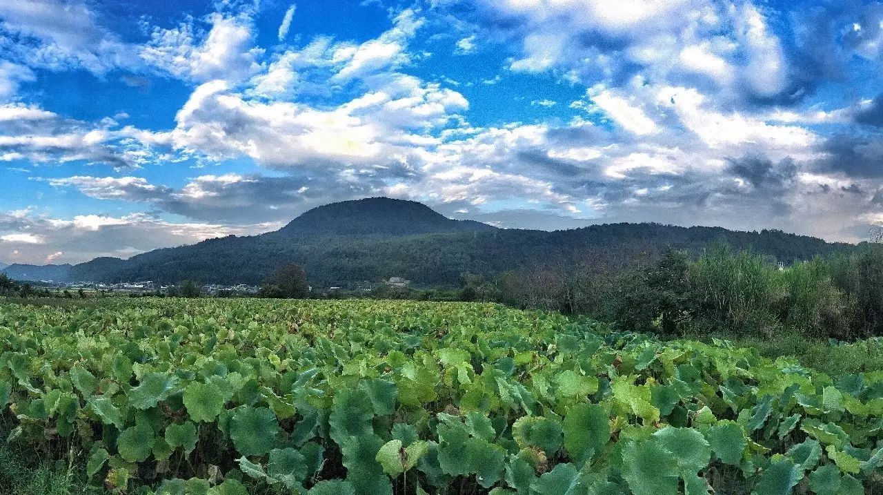 安之若宿，像家一樣既來之則安之