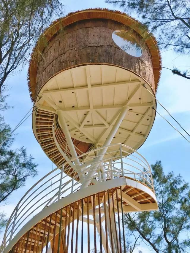 翡翠灣，在遼闊的海洋前做回無憂快樂的自我