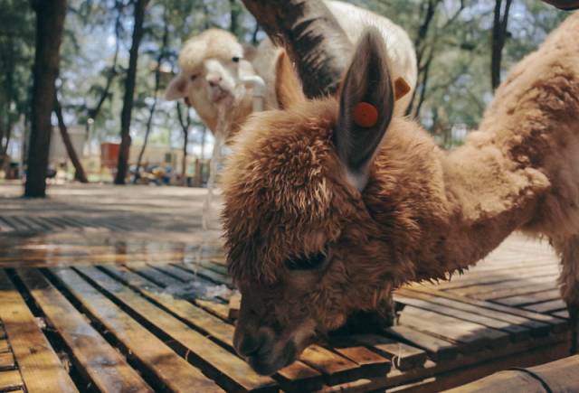 翡翠灣，在遼闊的海洋前做回?zé)o憂快樂的自我