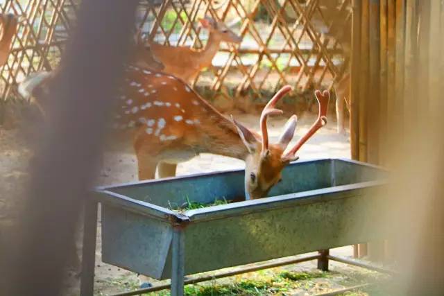 翡翠灣，在遼闊的海洋前做回?zé)o憂快樂的自我