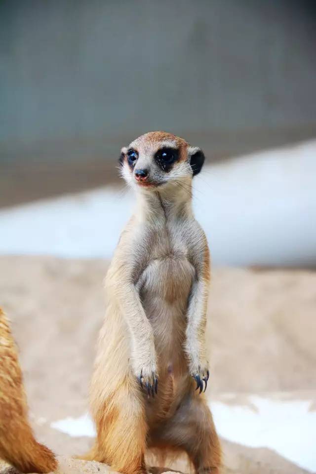 翡翠灣，在遼闊的海洋前做回?zé)o憂快樂的自我