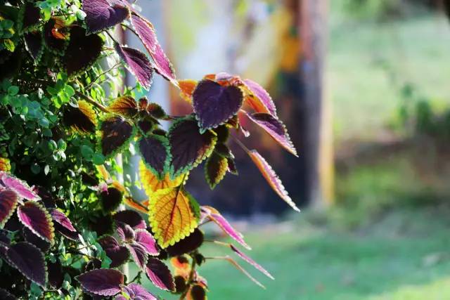 翡翠灣，在遼闊的海洋前做回?zé)o憂快樂的自我