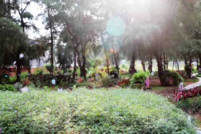 翡翠灣，在遼闊的海洋前做回?zé)o憂快樂的自我