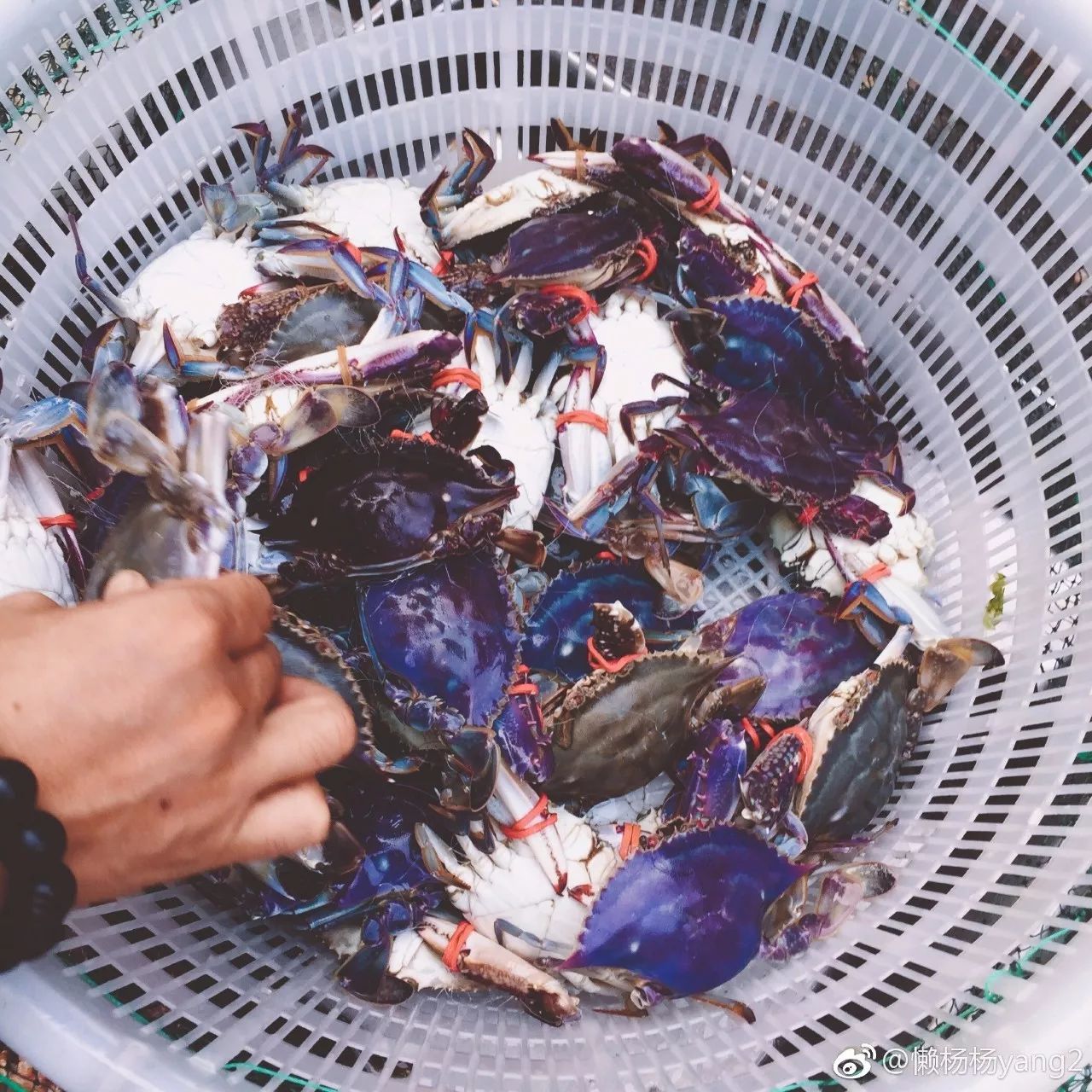 樸宿·微瀾山居，空山鳥語就在身畔