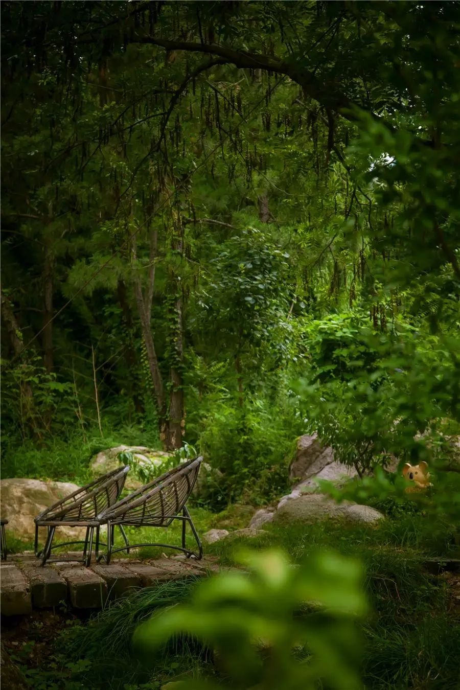 樸宿·微瀾山居，空山鳥(niǎo)語(yǔ)就在身畔