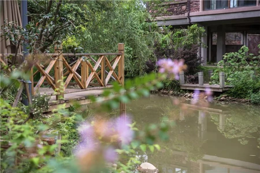 武夷山·山玖如意莊，一杯清茶一萬(wàn)個(gè)品茶人