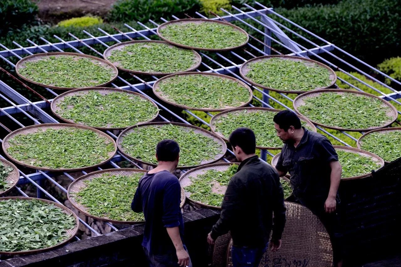武夷山·山玖如意莊，一杯清茶一萬(wàn)個(gè)品茶人
