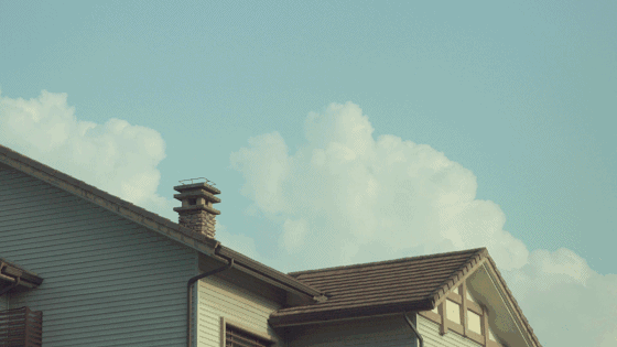 武夷山·山玖如意莊，一杯清茶一萬(wàn)個(gè)品茶人