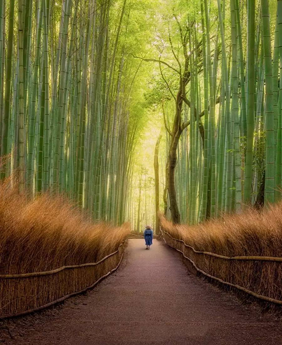 竹制好物，竹編工藝之美！