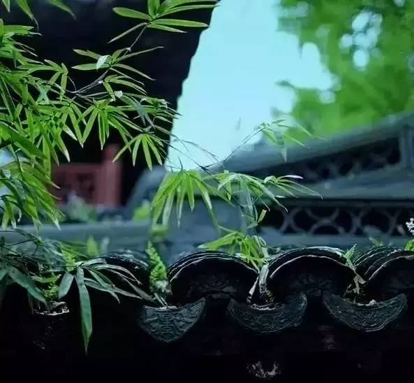 古建筑，一片瓦，遮風(fēng)擋雨