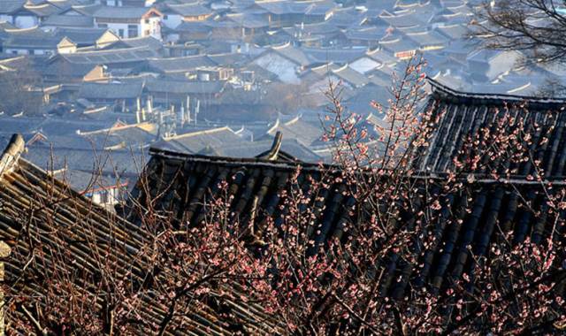 古建筑，一片瓦，遮風擋雨