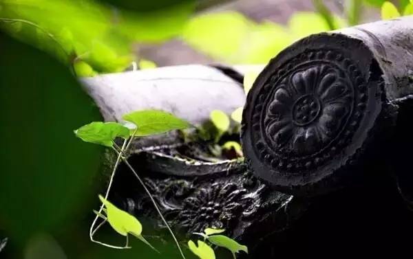 古建筑，一片瓦，遮風擋雨