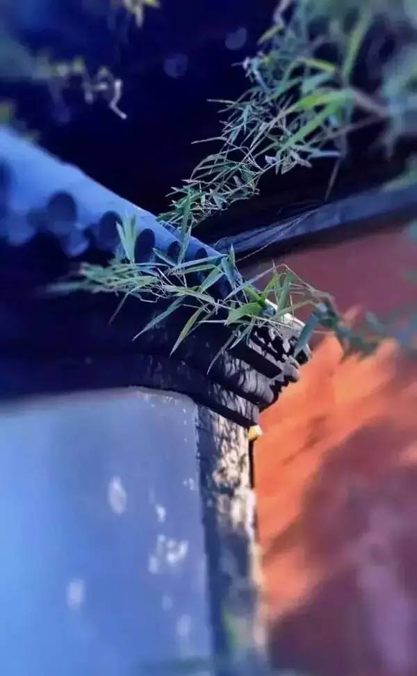 古建筑，一片瓦，遮風(fēng)擋雨