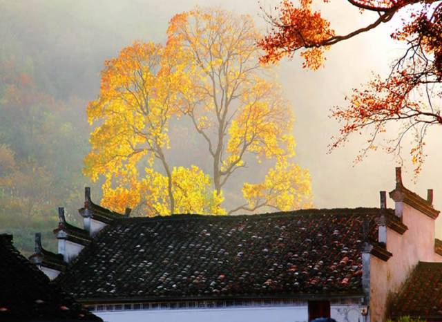 古建筑，一片瓦，遮風(fēng)擋雨