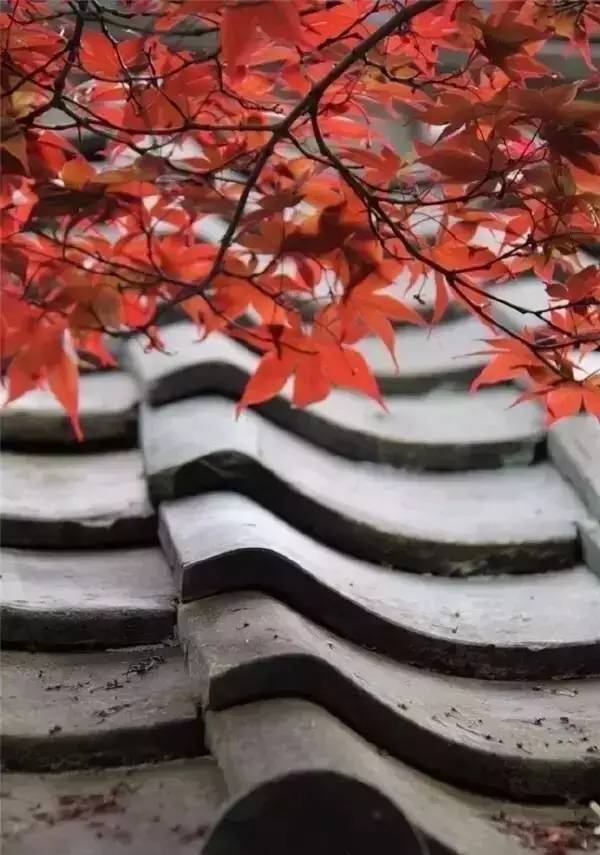 古建筑，一片瓦，遮風擋雨