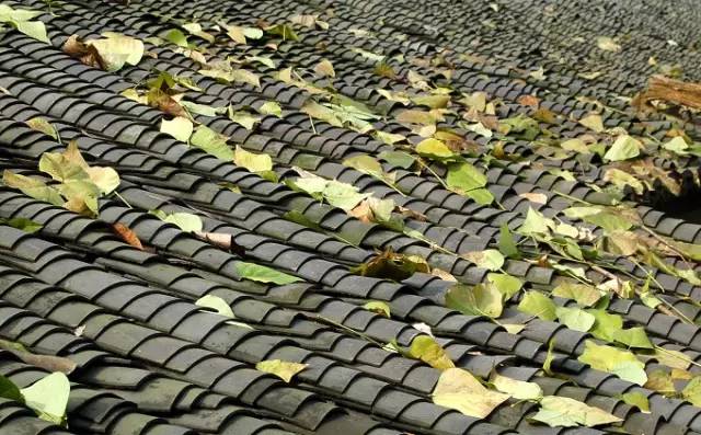 古建筑，一片瓦，遮風擋雨