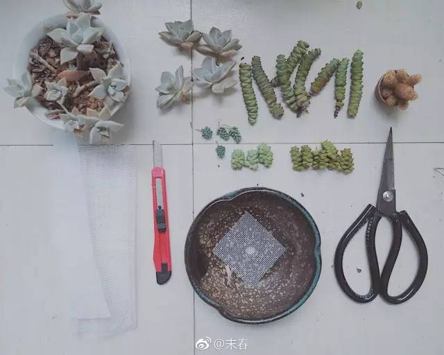 獨(dú)特中國(guó)美，最美插畫，膚如凝脂珠圓玉潤(rùn)民國(guó)