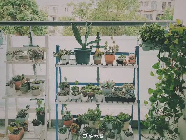 獨(dú)特中國美，最美插畫，膚如凝脂珠圓玉潤民國