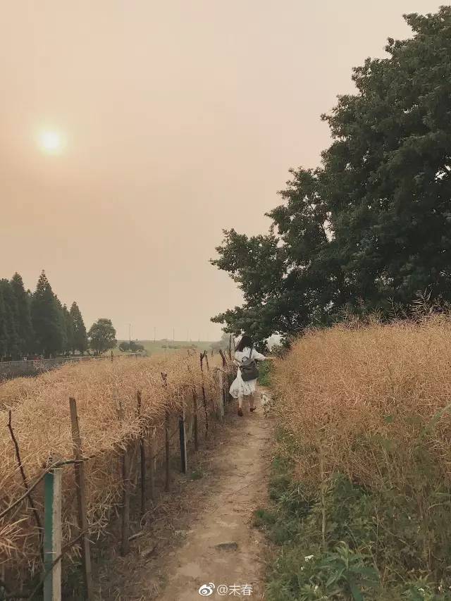 獨(dú)特中國美，最美插畫，膚如凝脂珠圓玉潤民國