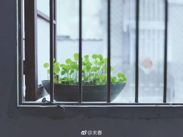 獨(dú)特中國美，最美插畫，膚如凝脂珠圓玉潤民國