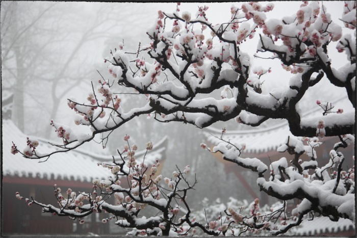 美的刺目的中國古建筑 歷經(jīng)世間滄桑、歲月荏苒