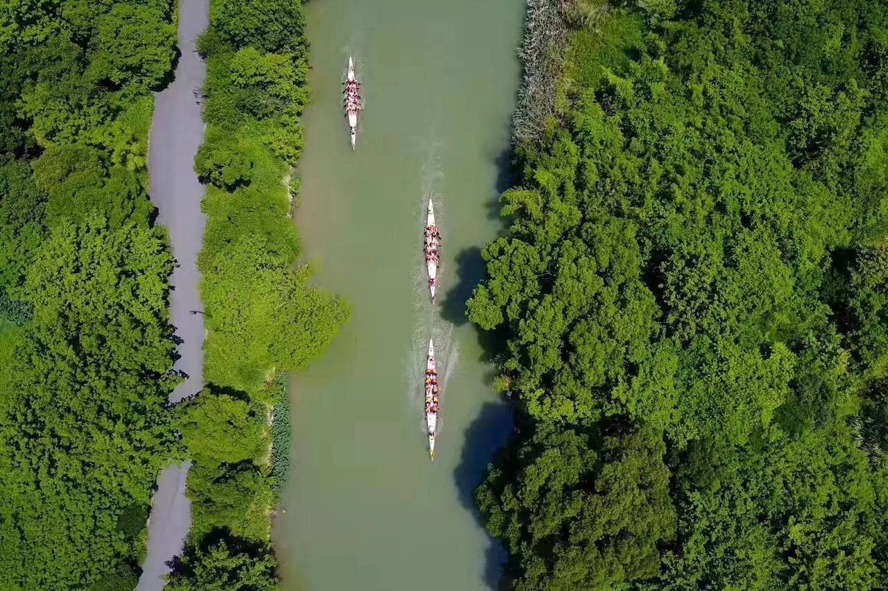 好久不見，西溪濕地范的民宿