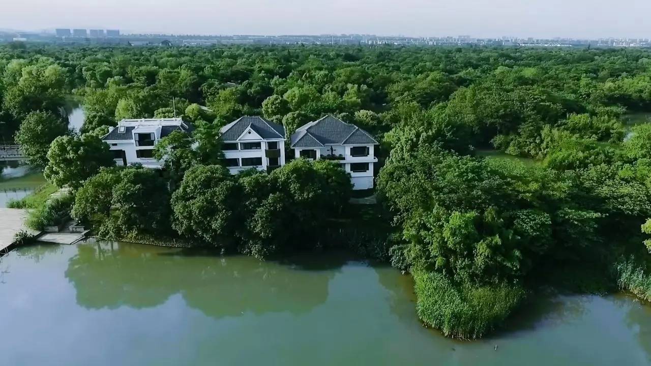 好久不見，西溪濕地范的民宿