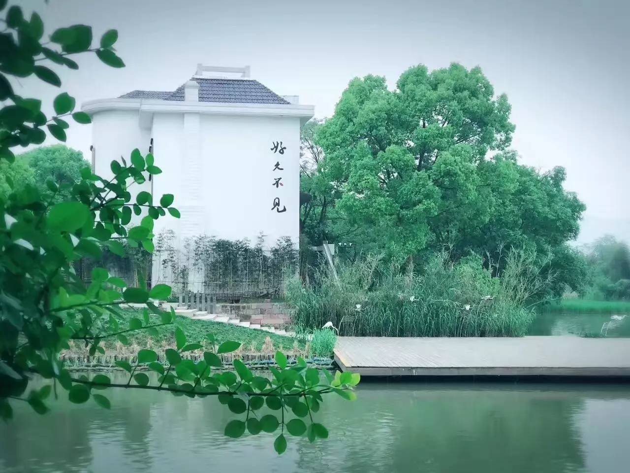 好久不見，西溪濕地范的民宿