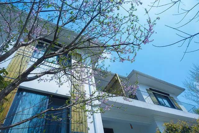 好久不見，西溪濕地范的民宿