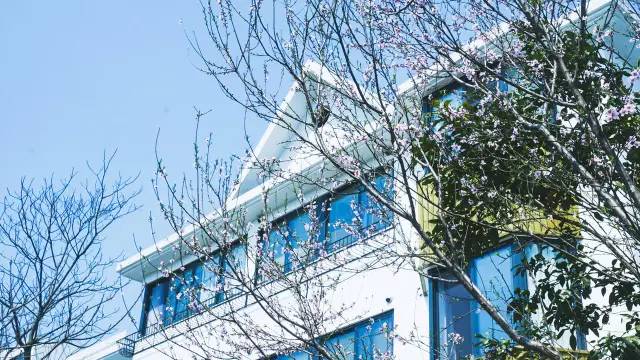 好久不見(jiàn)，西溪濕地范的民宿