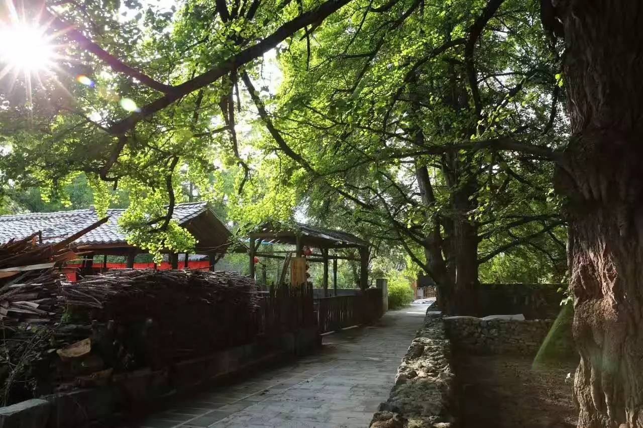 茶馬古道，民宿古宅設(shè)計改造