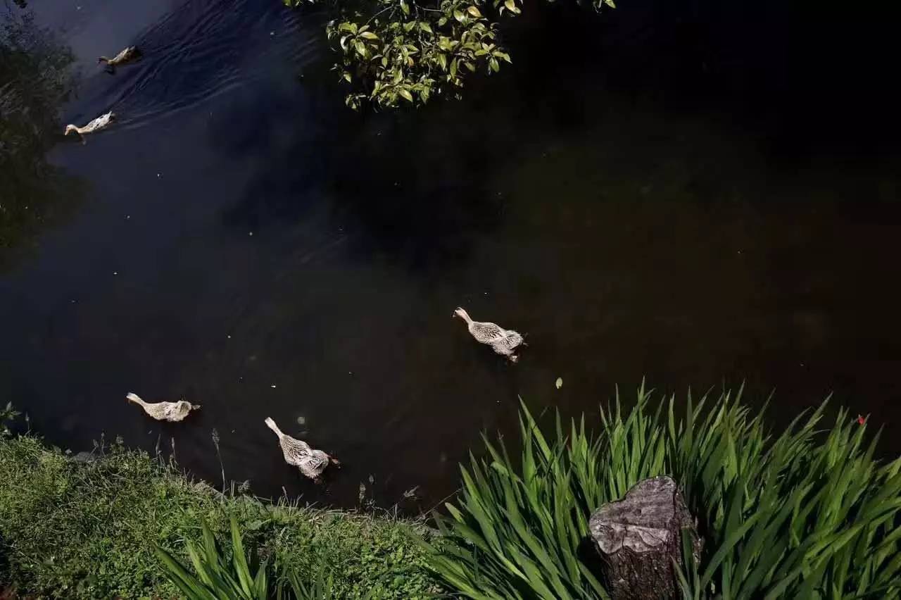 茶馬古道，民宿古宅設(shè)計改造