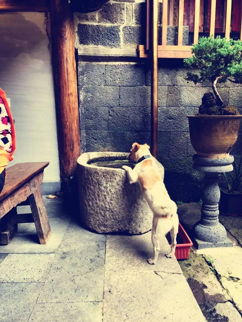 茶馬古道，民宿古宅設(shè)計(jì)改造